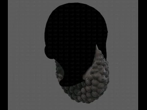 Beard V41 3D Model