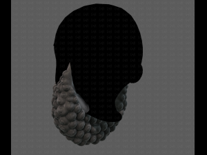 Beard V41 3D Model