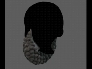 Beard V41 3D Model