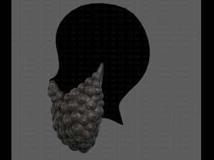 Beard V41 3D Model