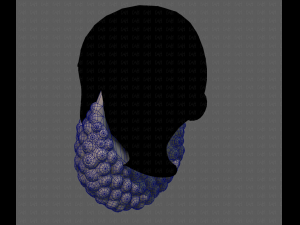 Beard V41 3D Model