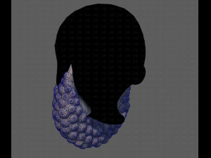 Beard V41 3D Model