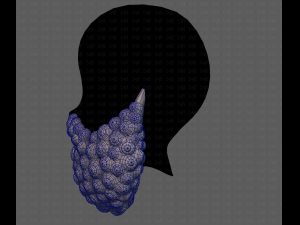Beard V41 3D Model