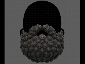 Beard V41 3D Model