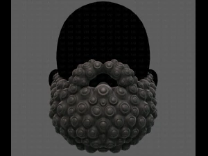 Beard V41 3D Model