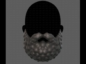 Beard V42 3D Model