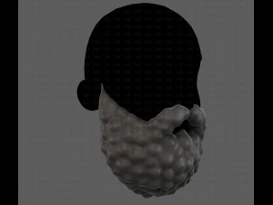 Beard V42 3D Model