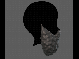 Beard V42 3D Модель