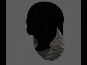 Beard V42 3D Model