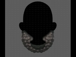 Beard V42 3D Model