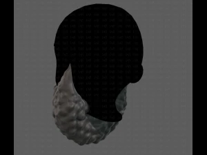 Beard V42 3D Model