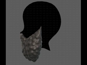 Beard V42 3D Model