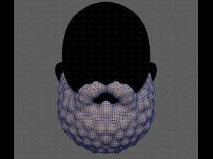 Beard V42 3D Model