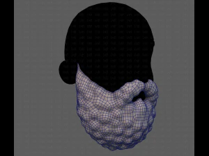 Beard V42 3D Model