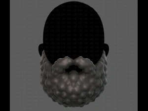 Beard V42 3D Model
