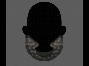 Beard V42 3D Model
