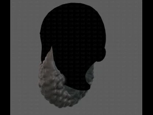 Beard V42 3D Model