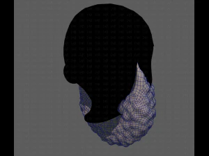 Beard V42 3D Model