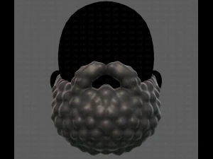 Beard V42 3D Model