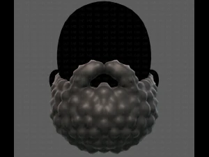 Beard V42 3D Model