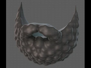 Beard V42 3D Model