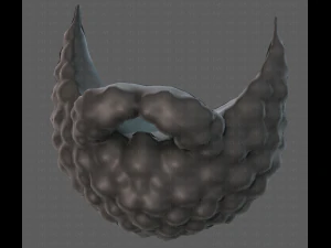 Beard V42 3D Model