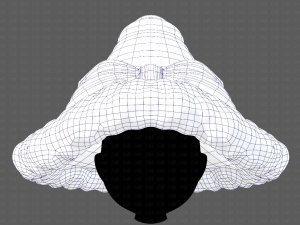 Cap V46 3D Model
