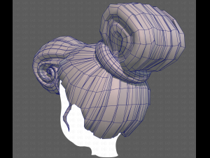 Base Hair for girl V50 Modelo 3D