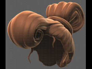 Base Hair for girl V50 Modelo 3D