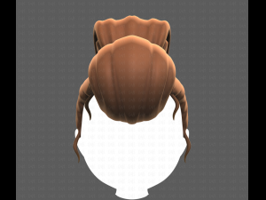 Base Hair for girl V50 Modelo 3D