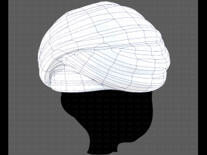 Cap V47 3D मॉडल