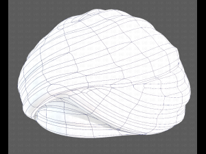 Cap V47 3D मॉडल
