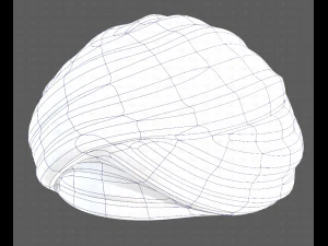 Cap V47 3D Model