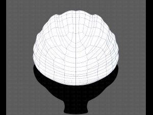 Cap V49 Model 3D