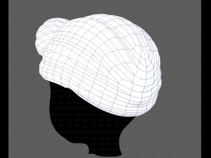 Cap V49 Model 3D