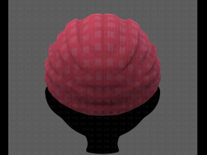 Cap V49 Model 3D