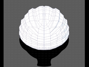 Cap V49 Model 3D