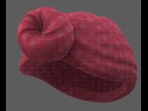 Cap V49 Model 3D