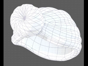 Cap V49 3D Model