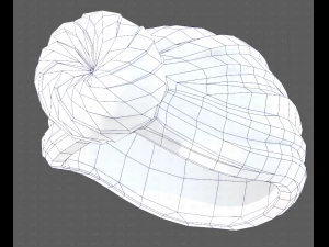 Cap V49 3D Model