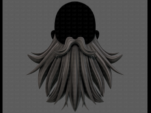 Beard V50 3D 模型
