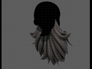 Beard V50 3D 模型