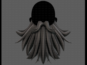 Beard V50 3D 模型