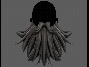 Beard V50 3D Model