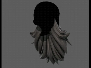 Beard V50 3D Model