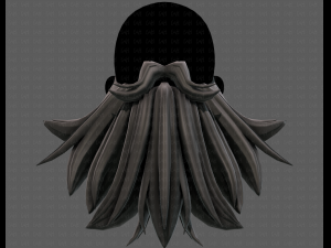 Beard V50 3D 模型