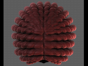 3D Hair style for boy V97 3D 模型