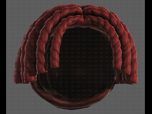 3D Hair style for boy V97 3D 模型