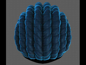 3D Hair style for boy V99 3D Model