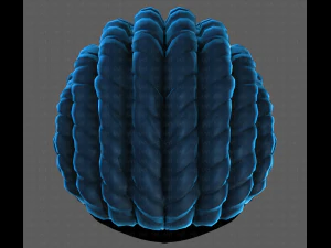 3D Hair style for boy V99 3D Model